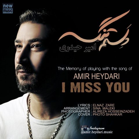 دانلود آهنگ امیر حیدری دلم تنگه